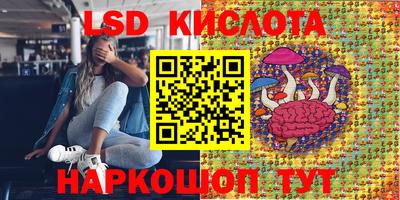 стаф Ливны