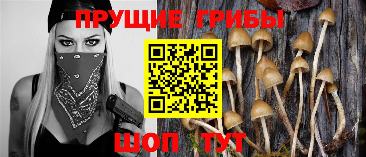 Галлюциногенные грибы ЛСД Южно-Сахалинск